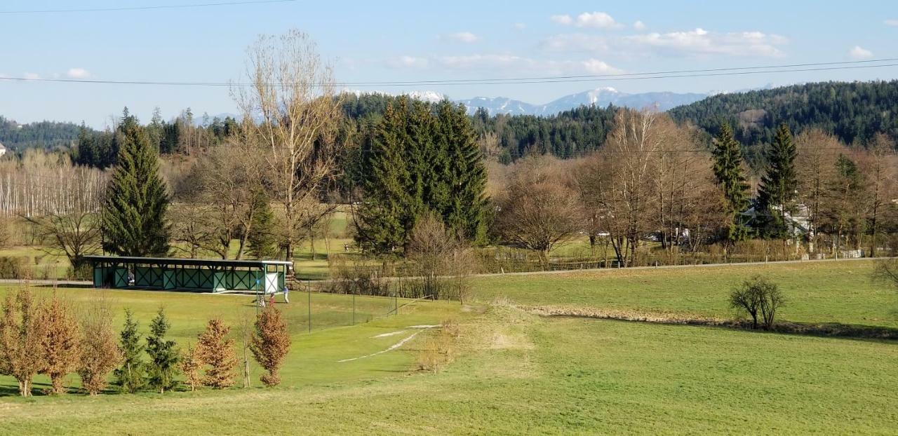 Haus Falkenstein موسبرغ المظهر الخارجي الصورة