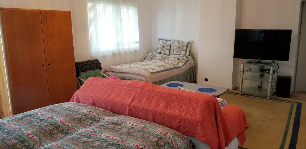 Haus Falkenstein موسبرغ المظهر الخارجي الصورة